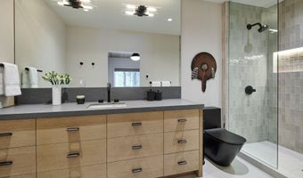 1271 Ute Ave, Aspen, CO 81611