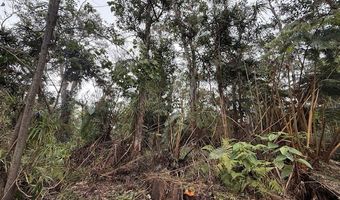 73-1818 HAO St, Kailua Kona, HI 96740
