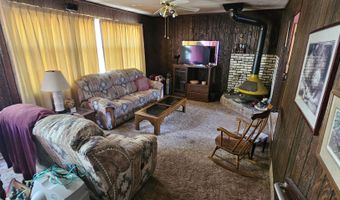 316 Toiyabe Rd, Austin, NV 89310