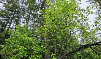 1895 TBD BLUE CREEK ROAD Rd, Addy, WA 99101