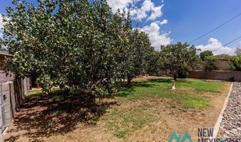 1303 Chico St, Carlsbad, NM 88220