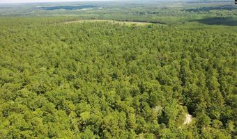 0 Huckleberry Finn Rd, Batesburg Leesville, SC 29006