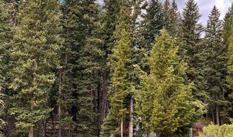178 Brownstone, Big Sky, MT 59716