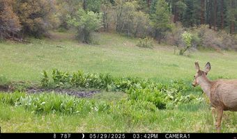 15098 CR 240, Bayfield, CO 81122