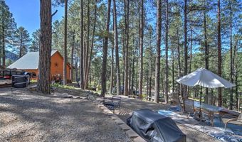 277 297 Pine Top Dr, Bayfield, CO 81122