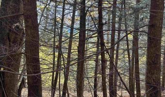 00 Peaked Hill Rd 7.1, 7.2, 7.3, 7.4, Bristol, NH 03222