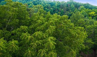 259 County Road 60, Athens, TN 37303