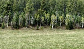 15098 CR 240, Bayfield, CO 81122