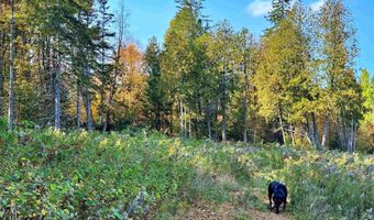 00 E Darling Hill Rd Lot #2 & Lot #3, Burke, VT 05832