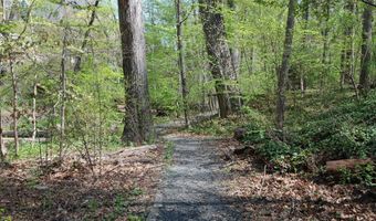4023 18TH Rd N 2, Arlington, VA 22207