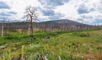 529 Quartz Rd, Bellvue, CO 80512
