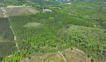 xxx County Hwy 73, Altha, FL 32421