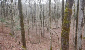 County Route 16, Angelica, NY 14709