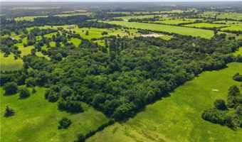 Farm to Market Rd 2562, Anderson, TX 77830
