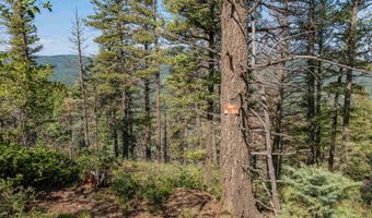 Vail Loop lot 400, Angel Fire, NM 87710