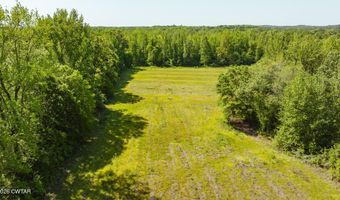 Beech Bluff Road, Beech Bluff, TN 38313