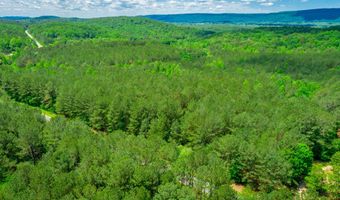 00 Walnut Grove Rd, Lafayette, GA 30728