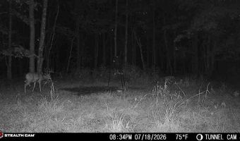 1271 A Tunnel Ridge Rd, Argillite, KY 41121