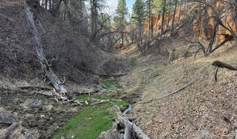 Tract 1 Lone Elk Ranch, Alva, WY 82711