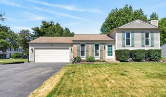 1000 Timberwood Ln, Algonquin, IL 60102