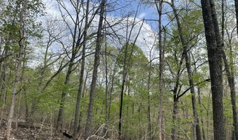 State Hwy N Tract G, Ava, MO 65608