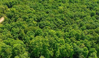 County Road 101, Alton, MO 65606