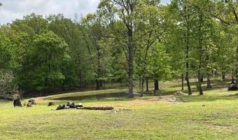 3630 Hwy 167, Ash Flat, AR 72513