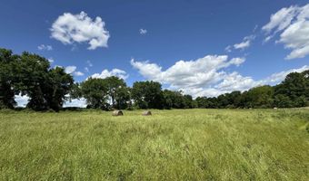 Tract 10 Hwy 105 S, Atkins, AR 72823