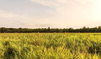 ON SURING LN unit 31 Acres 31 Acres, Argonne, WI 54511