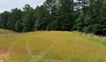 Low Water LN SW, Brookhaven, MS 39601