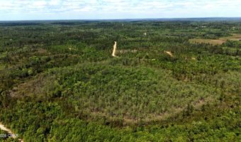 Broadview Avenue, Alford, FL 32420
