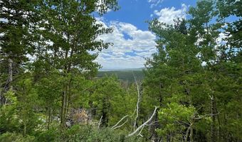 847 COUNTY ROAD 787, Alma, CO 80420