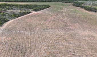 Tract 1 TBD PVT RD 3561, Anson, TX 79501