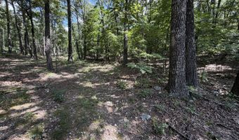 1767 Ff Hwy, Alton, MO 65606