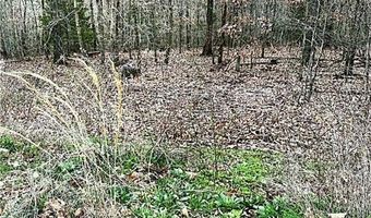 Lot 43 Skipton DR, Bella Vista, AR 72714