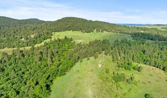 Tract 9 Lone Elk Ranch, Alva, WY 82711