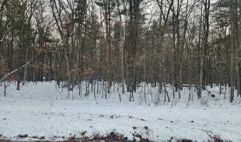 L59 Badger Court lot 59, Arkdale, WI 54613