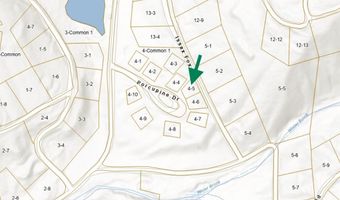 11 4 5 Porcupine Dr, Campton, NH 03223