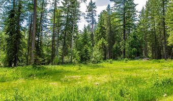 695 Latigo Ln, Bigfork, MT 59911