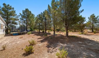 3199 S Records Rd, Amargosa Valley, NV 89020