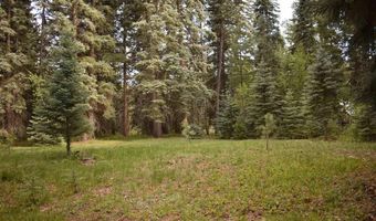 Vallecito Pl, Bayfield, CO 81122