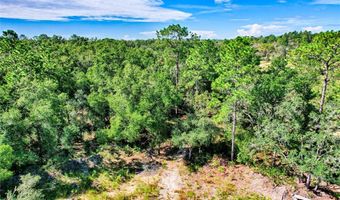 00 NE 108TH Ter, Archer, FL 32618