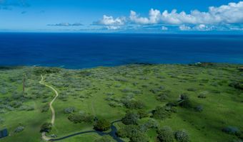 56-101 PUALANI Rd, Hawi, HI 96719