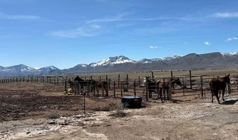 699 Stephens Rd, Challis, ID 83226