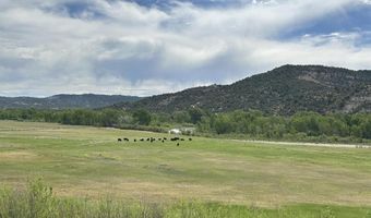 USFS RD 613, Arboles, CO 81147