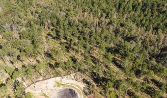 175 Beagle Chase Dr Lot 9, Appling, GA 30802