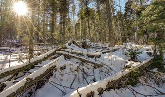 45 And 46 Sacramento Dr, Angel Fire, NM 87710