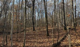 15548 Highway 15 N, Ackerman, MS 39735