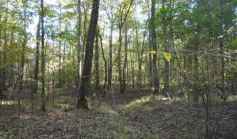 E-S Drive, Braxton, MS 39044