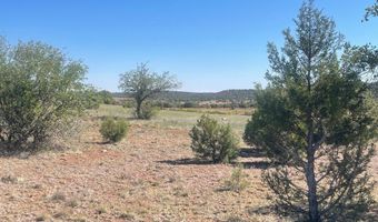 1751 Forest Service Rd 163, Clay Springs, AZ 85923